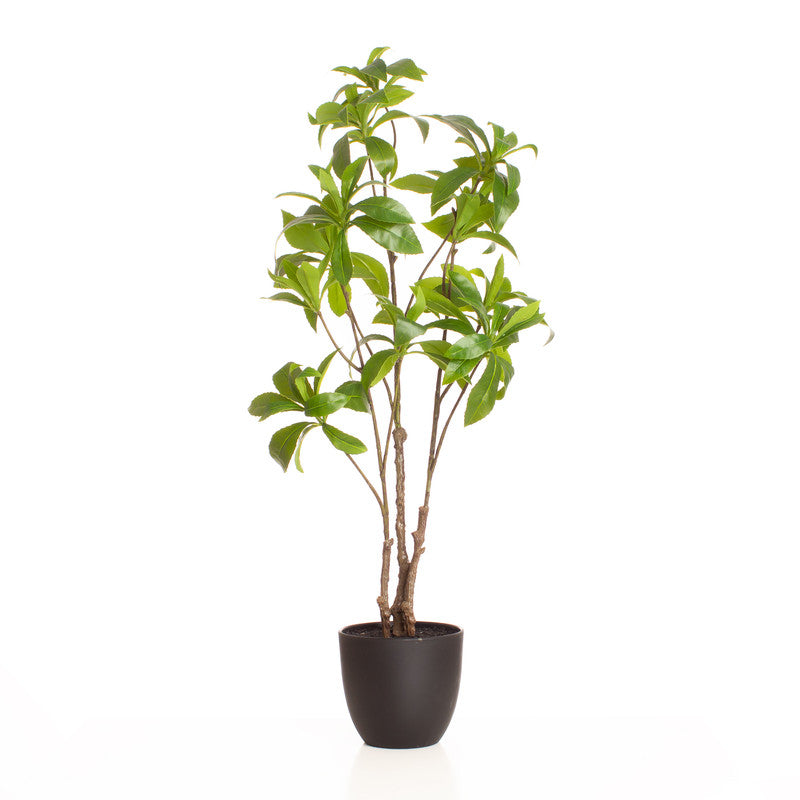 68cm Real Touch Pieris Tree